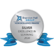 Imagem do prêmio Silver Excellence in Learning